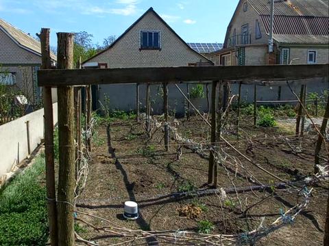 дом по адресу Тетиев, дібрівська, 19