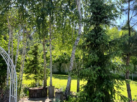 будинок за адресою смт. Козин, Козацька вул.