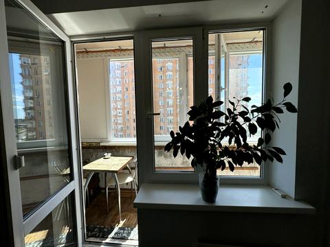 квартира за адресою Княжий Затон вул., 12