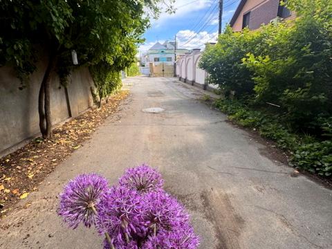 дом по адресу Куприна ул., 17