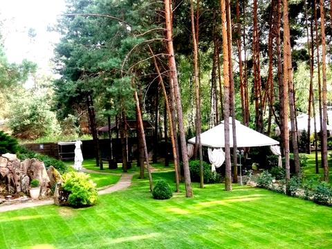 коммерческая по адресу Боровкова ул., 81