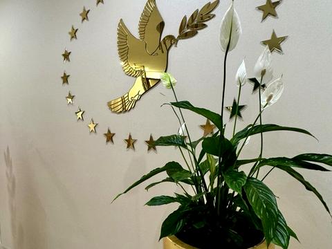 квартира за адресою Краснова вул., 3а