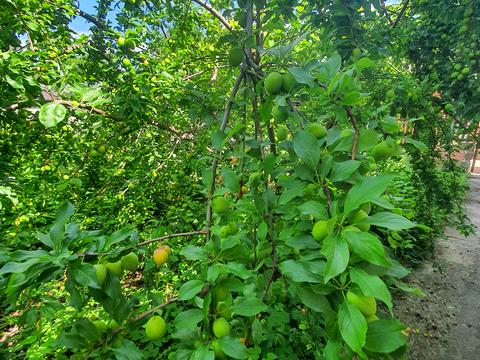 дом по адресу Молдавська ул., 39