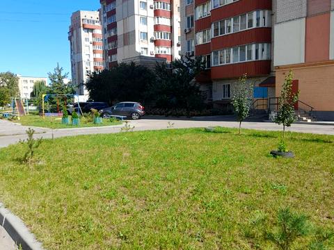 квартира по адресу Свободи просп. (Прокофʼєва), 44