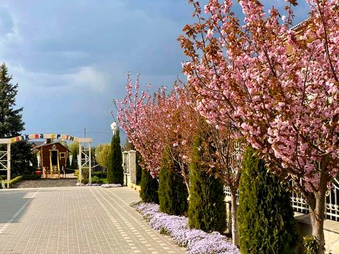 будинок за адресою Квітуча