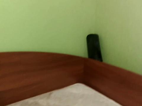 дом по адресу Робеспьера ул.