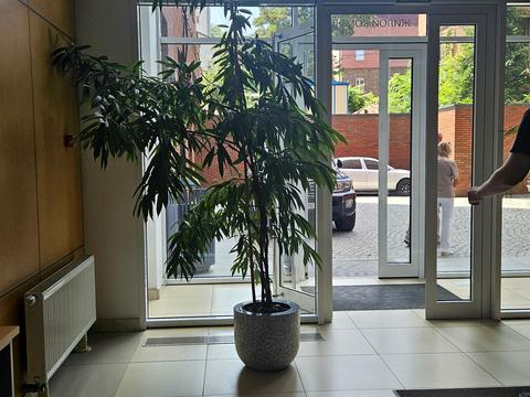 квартира за адресою Шевченка вул., 51