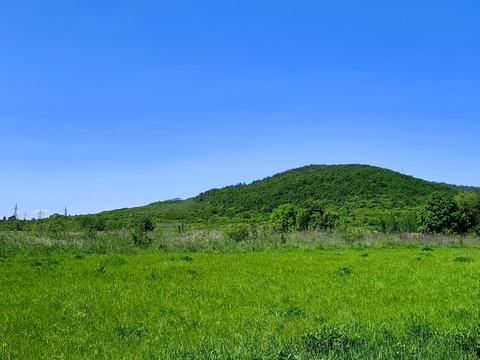 ділянка за адресою Рибна