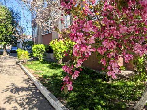 квартира за адресою Старицького вул., 23а