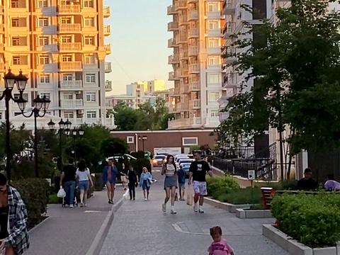 комерційна за адресою Михайла Максимовича вул. (Онуфрія Трутенка), 24