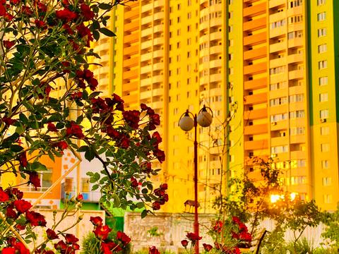 квартира за адресою доковская, 10