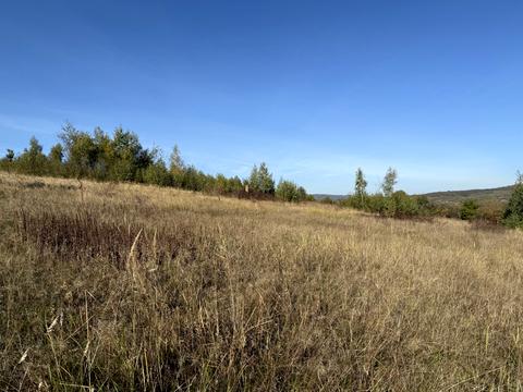 ділянка за адресою Пролісок