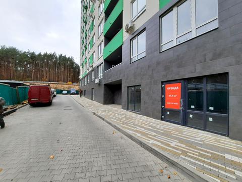 комерційна за адресою Університетська вул., 3/15