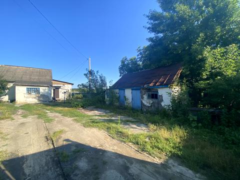 участок по адресу Горького, 3
