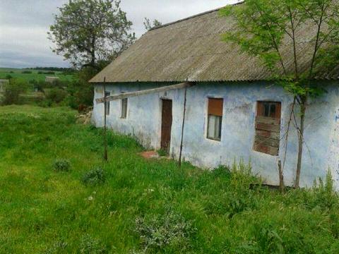 участок по адресу Центральная, 51