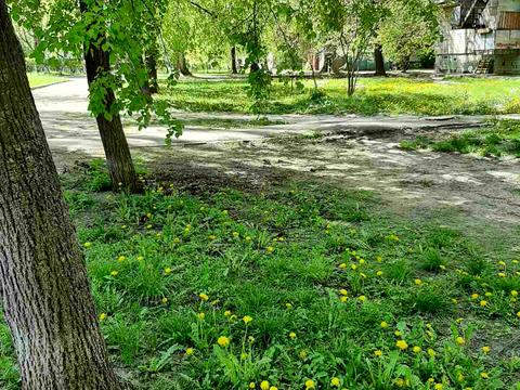 квартира по адресу Академика Доброхотова ул., 3