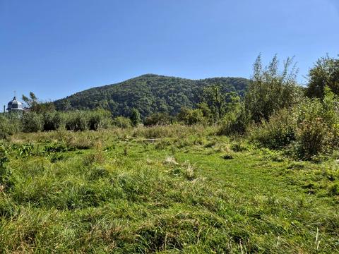 ділянка за адресою лесі Українки