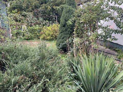 будинок за адресою с. Олександрівка, Марка Аврелія