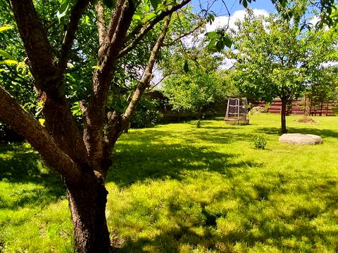 будинок за адресою Олександрівська