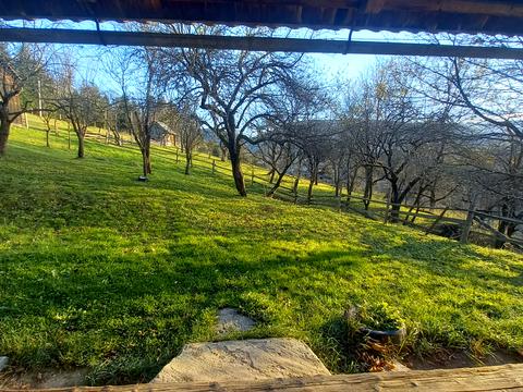 участок по адресу пгт. Верховина, вул. Невестюка