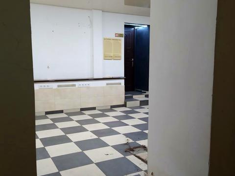 комерційна за адресою Данилевського вул., 10