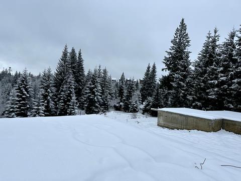 дом по адресу Довгий грунь, 15