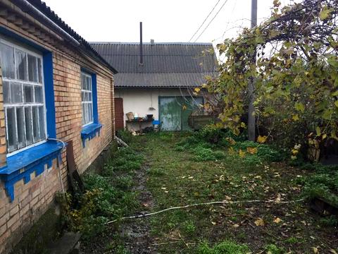 будинок за адресою с. Білогородка, Шевченка