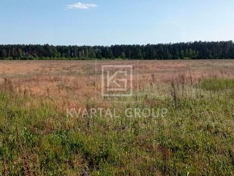 ділянка за адресою Березова