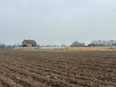 ділянка за адресою с. Лісові Гринівці, 