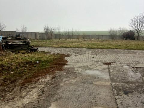 комерційна за адресою Центральна, 81