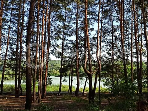 комерційна за адресою Світла вул., 1