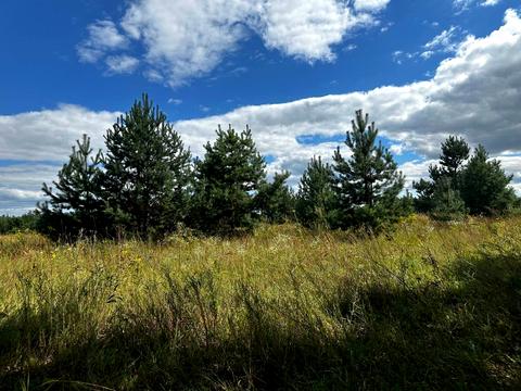 участок по адресу 