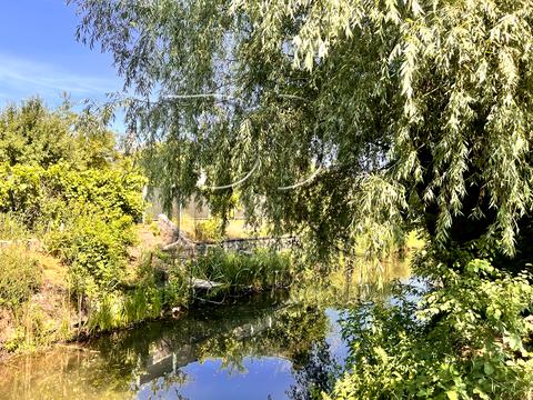 ділянка за адресою СТ Росинка