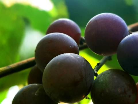 квартира за адресою Лесі Українки бульв., 30