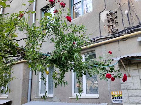 квартира по адресу Бориса Чичибабина ул., 5