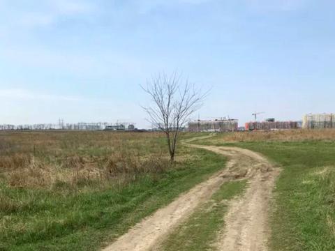 участок по адресу Софіївсько-Борщагівська сільська рада