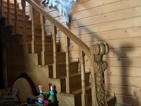 будинок за адресою Приморская