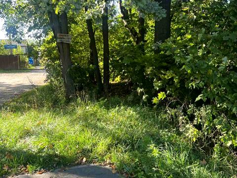 ділянка за адресою 