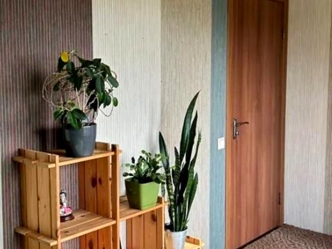 дом по адресу Житомирский пер., 5
