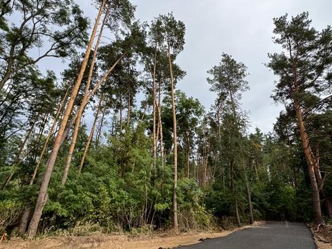 ділянка за адресою 