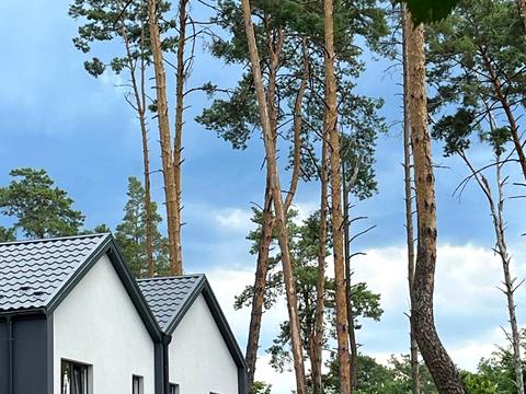 будинок за адресою Миколи Леонтовича вул. (Толстого), 16