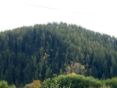 ділянка за адресою Вишенського, 75