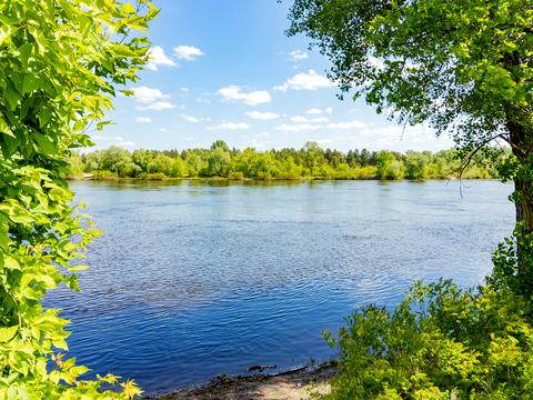 дом по адресу с. Осещина, Фісташкова, 53