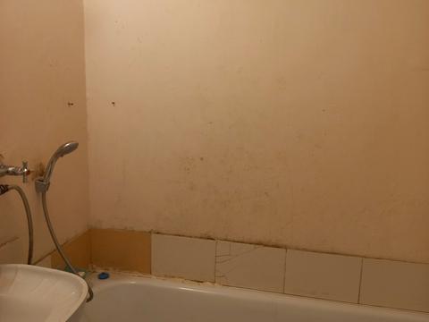 квартира по адресу Независимости ул. (Космонавта Попова), 22 к2