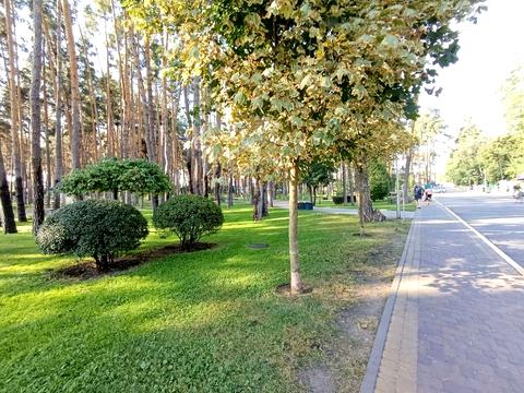комерційна за адресою Виговського вул. (Суворова), 1-Т