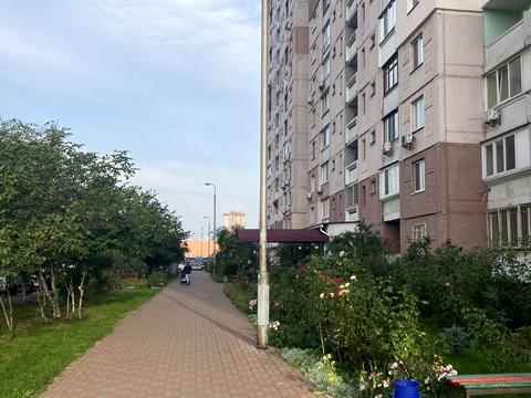 квартира за адресою Олени Пчілки вул., 2-Б