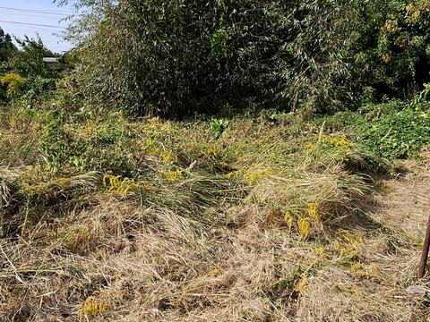 дом по адресу Саенко ул., 44