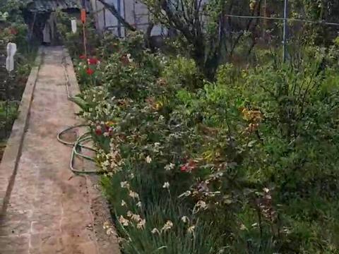 дом по адресу Одесса, 21-й км Старокиївської дороги ул.