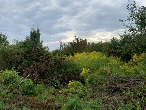 ділянка за адресою Залізнична вул.