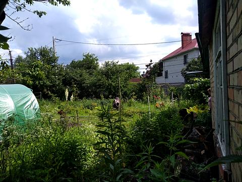 ділянка за адресою Газопровідна вул.